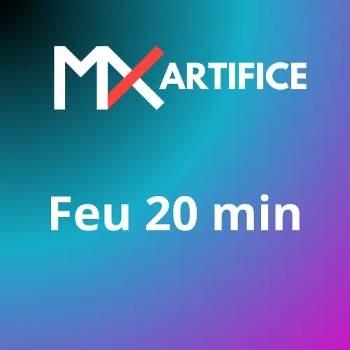 Feu 20 min